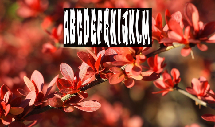 Monster of Trailer Park Example 1