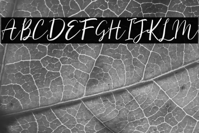 Monster Font examples