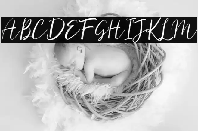 Monster Font examples