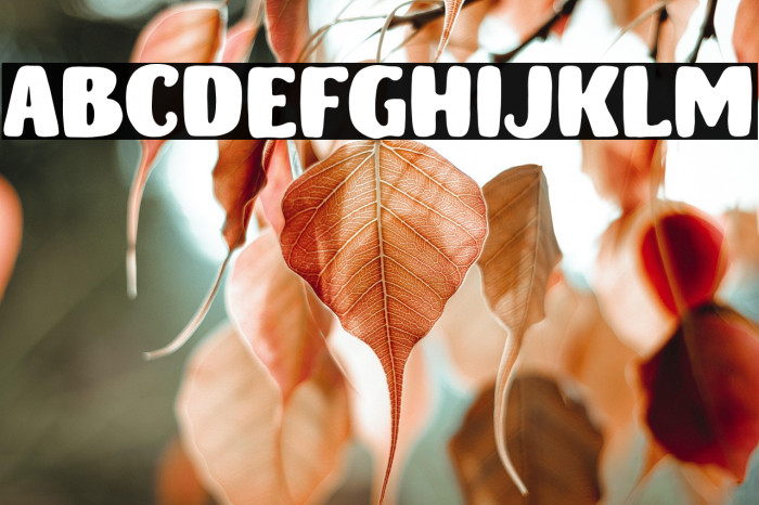 MonsterDoodlesDemo Example 1