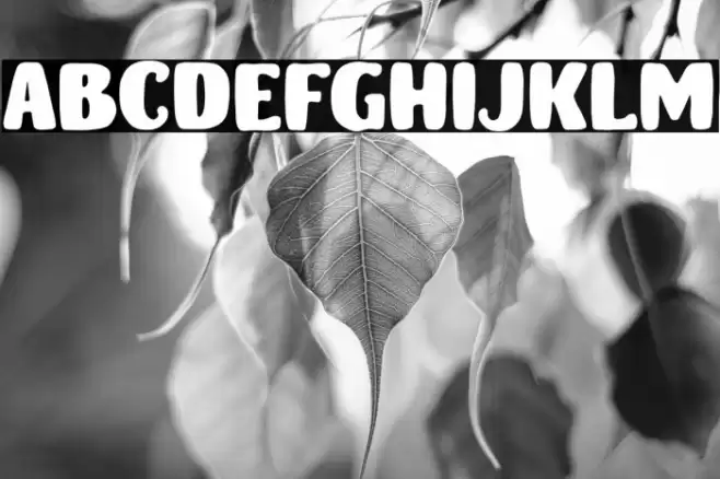 MonsterDoodlesDemo フォント examples