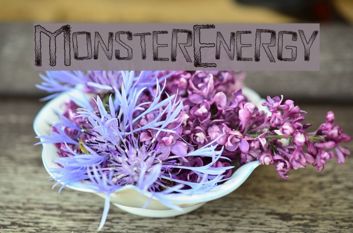 MonsterEnergy Font examples