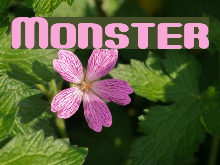 Monster Font examples