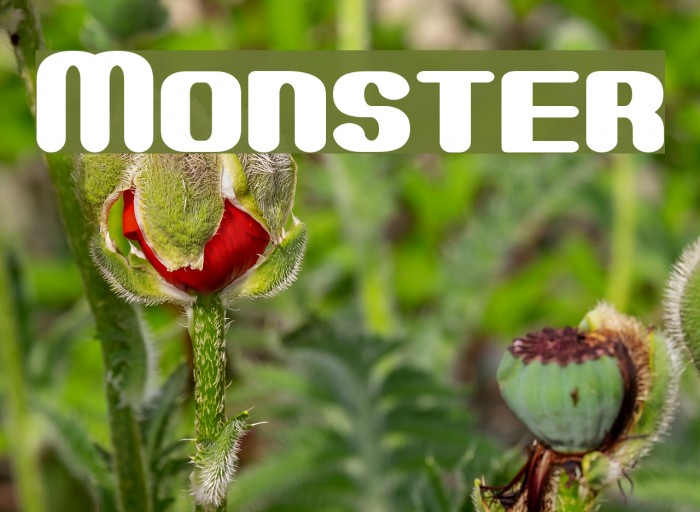 Monster Font examples