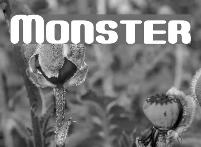 Monster Example 3