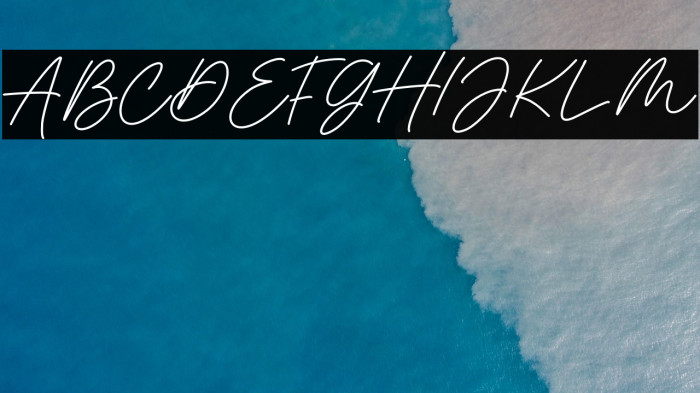 Monstera Jam Bold Example 1