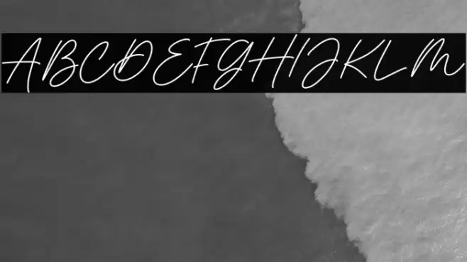 Monstera Jam Bold Caratteri examples