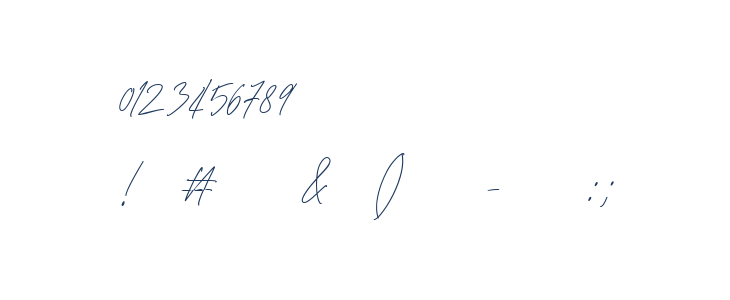 Monstera Regular Other Characters