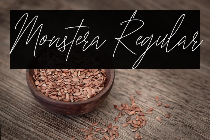 Monstera Regular Example 1