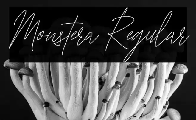 Monstera Regular Font examples