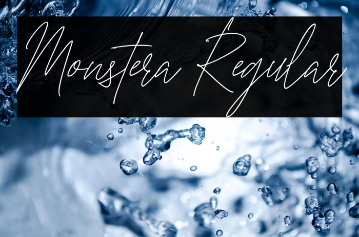 Monstera Regular Example 3