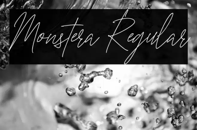 Monstera Regular Font examples