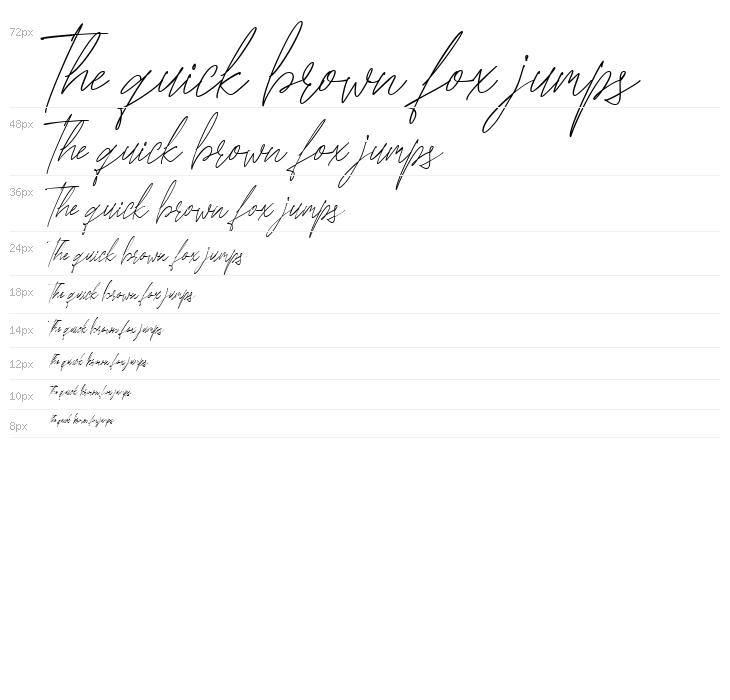 Monstera Regular Waterfall