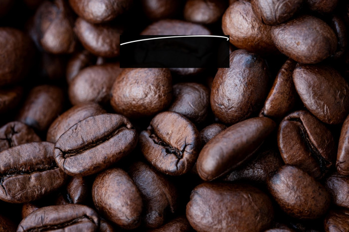 Monstera Swashes Example 3