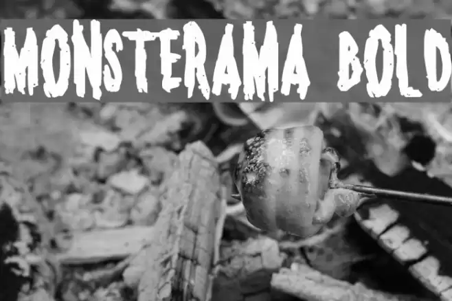 Monsterama Bold Font examples