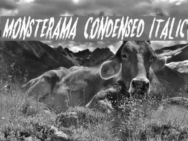 Monsterama Condensed Italic Font examples