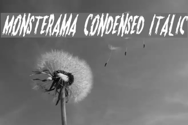 Monsterama Condensed Italic Font examples