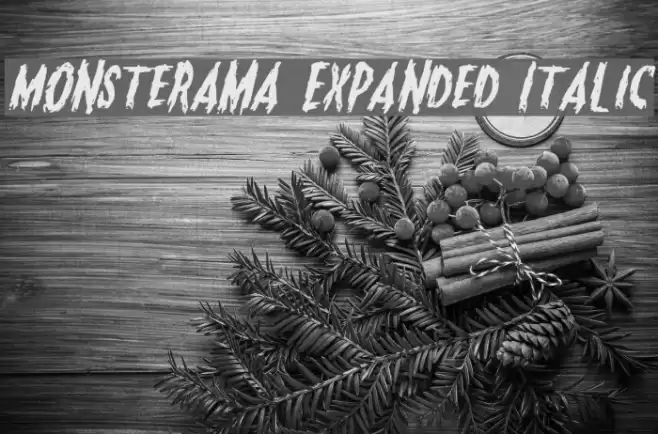 Monsterama Expanded Italic Font examples