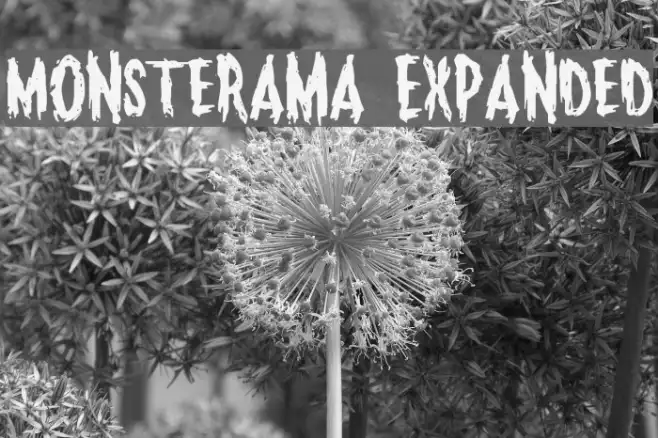 Monsterama Expanded Example 1