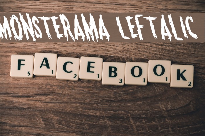 Monsterama Leftalic Font examples