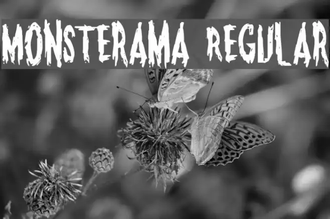 Monsterama Regular Example 1