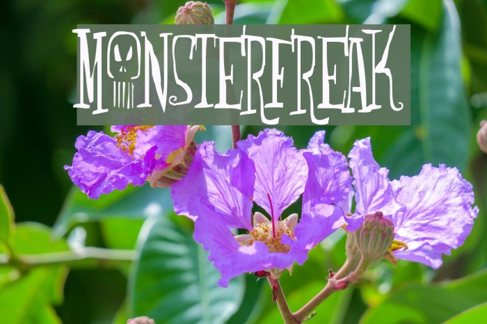 Monsterfreak Font examples
