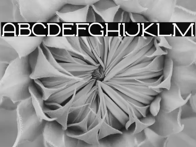 Monsterio - Personal Use Font examples