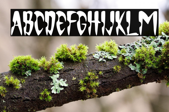 Monsterious Example 2