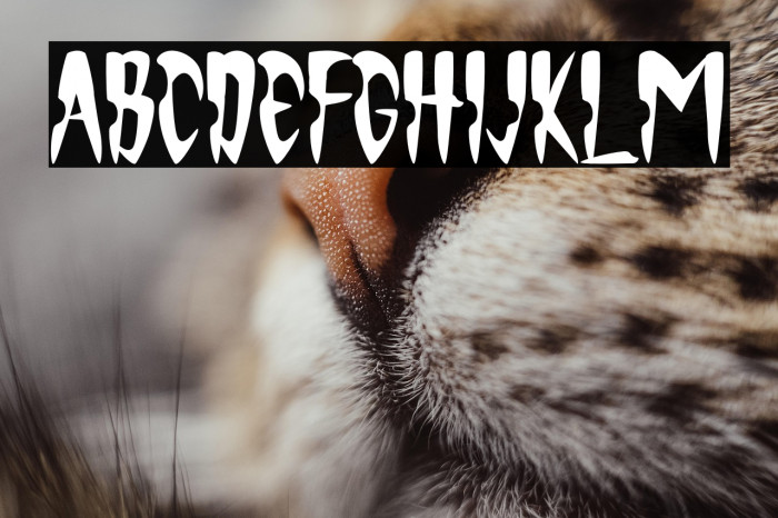 Monsterious Example 3