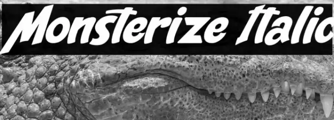 Monsterize Italic Font examples