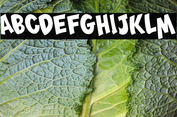 Monsterize Oblique Example 3