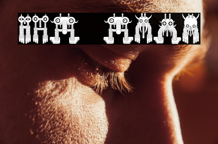 Monstero Regular Example 1