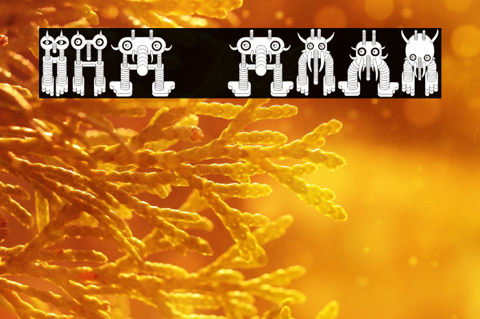 Monstero Regular Example 2