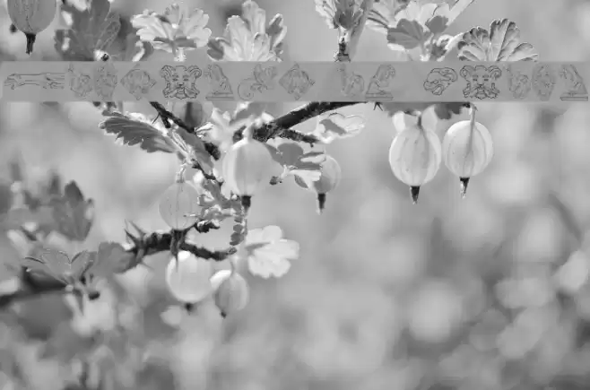 Monsters of Stone Font examples