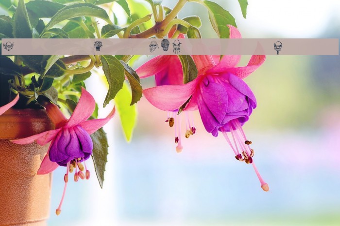 MonstersAmongUSDingbats-Regular Example 2