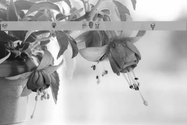 MonstersAmongUSDingbats-Regular Font examples