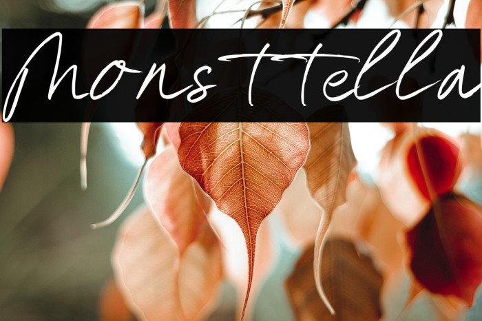 Monsttella Example 1