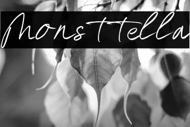Monsttella Font examples