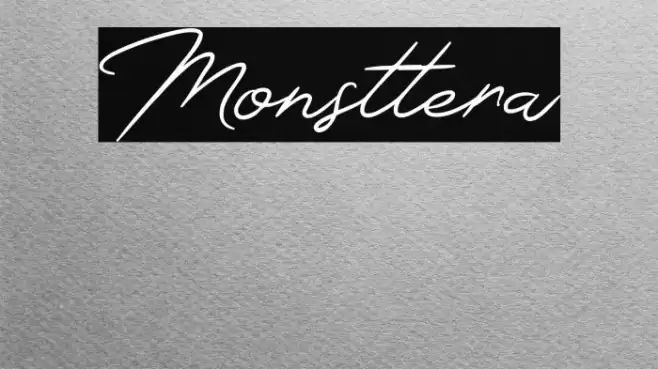 Monsttera Font examples