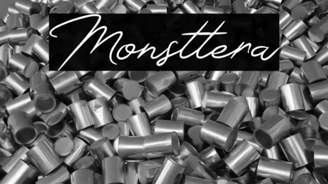 Monsttera Font examples