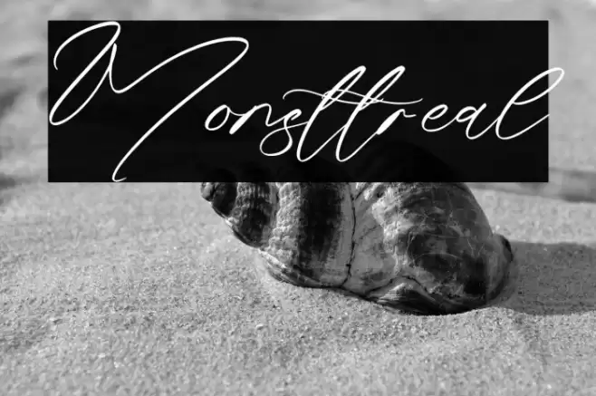 Monsttreal Caratteri examples