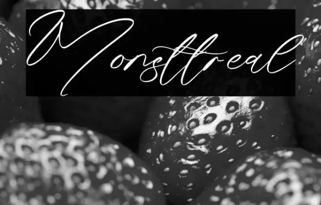 Monsttreal Caratteri examples