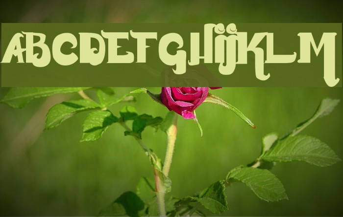 Monstur Font examples