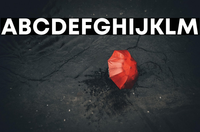 Mont Blanc Demo Bold Example 1