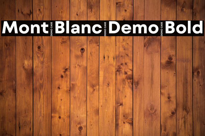 Mont Blanc Demo Bold Example 1
