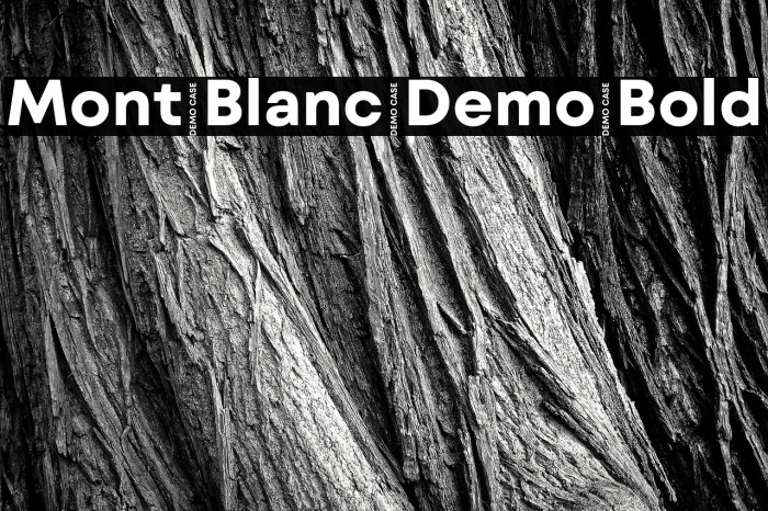 Mont Blanc Demo Bold Example 3