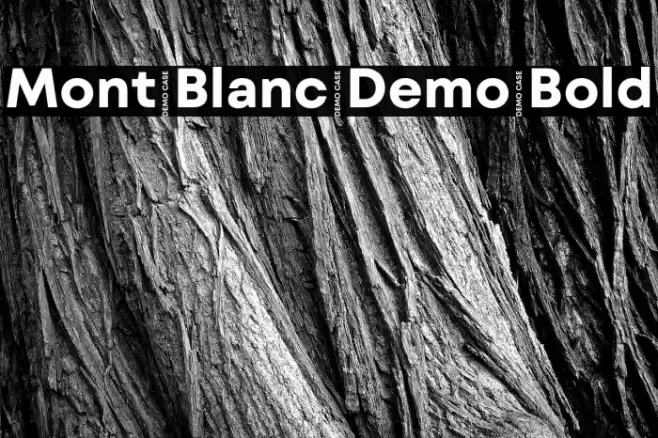 Mont Blanc Demo Bold Font examples