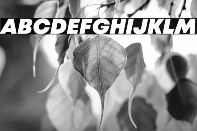 Mont Blanc-Trial Black Italic Font examples