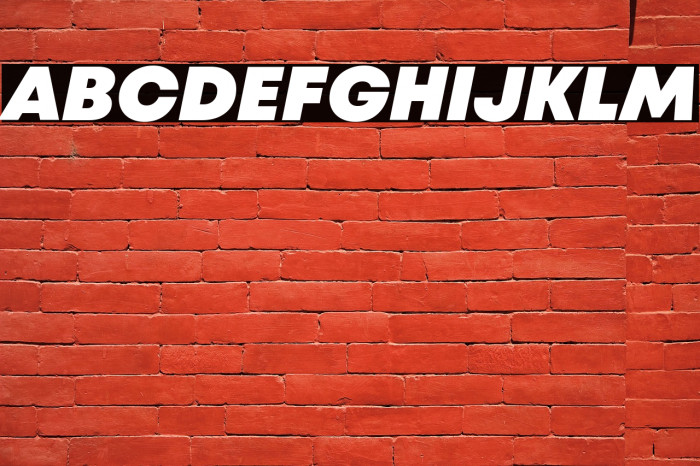 Mont Blanc-Trial Black Italic Example 3