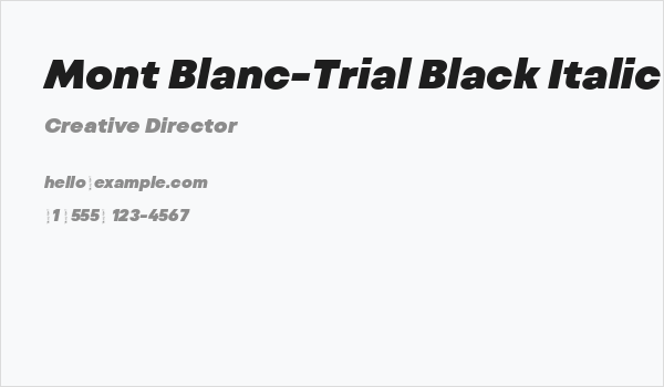 Mont Blanc-Trial Black Italic Business Card